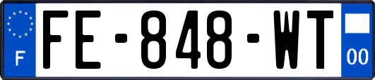 FE-848-WT