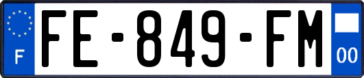 FE-849-FM