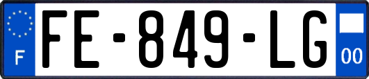 FE-849-LG