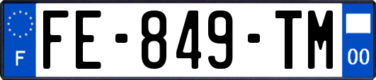 FE-849-TM