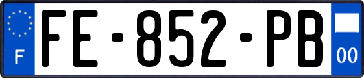 FE-852-PB
