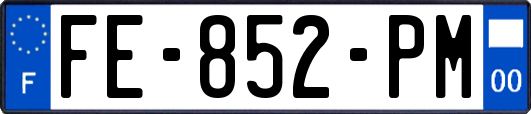 FE-852-PM