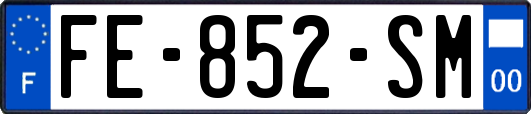 FE-852-SM