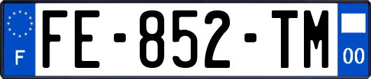 FE-852-TM