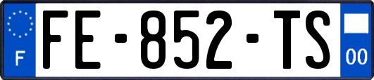 FE-852-TS