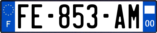 FE-853-AM