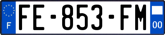 FE-853-FM