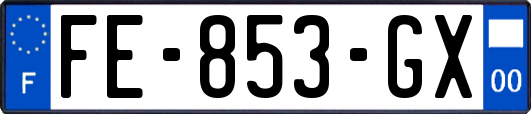 FE-853-GX