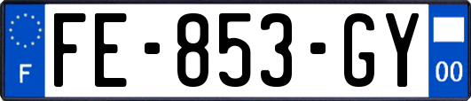 FE-853-GY