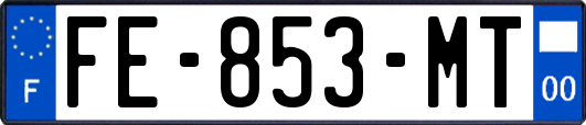 FE-853-MT