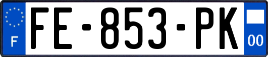 FE-853-PK