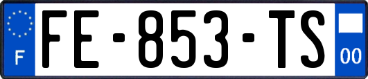 FE-853-TS