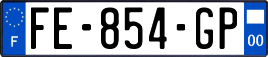 FE-854-GP