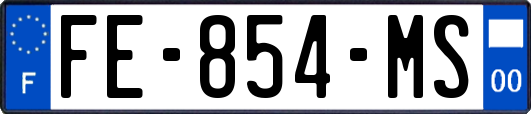FE-854-MS