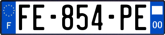 FE-854-PE