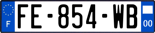 FE-854-WB