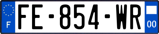 FE-854-WR