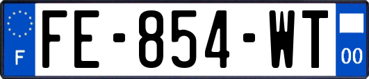 FE-854-WT