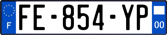 FE-854-YP