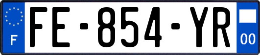 FE-854-YR