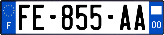 FE-855-AA