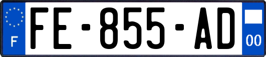 FE-855-AD