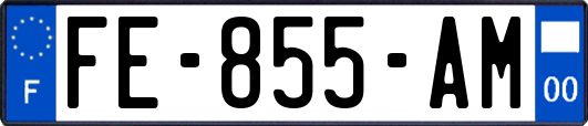 FE-855-AM