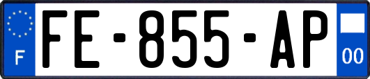 FE-855-AP