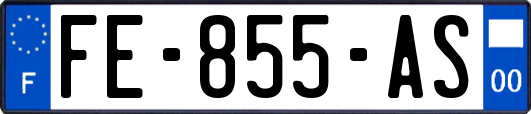FE-855-AS