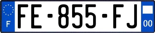 FE-855-FJ