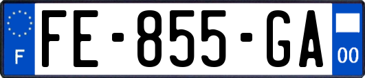 FE-855-GA