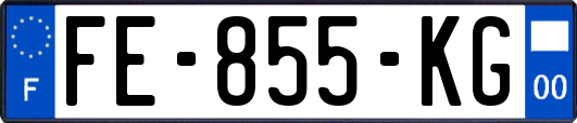 FE-855-KG