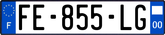 FE-855-LG