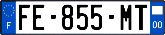 FE-855-MT