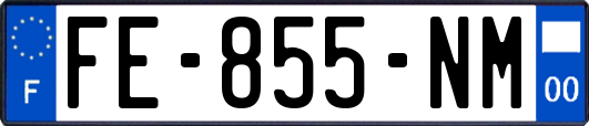 FE-855-NM
