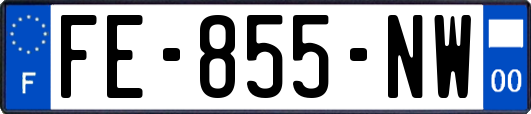 FE-855-NW