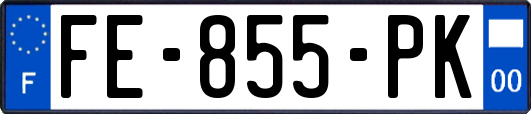 FE-855-PK