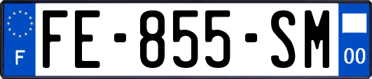 FE-855-SM