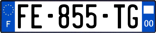 FE-855-TG