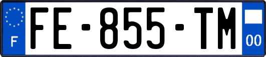 FE-855-TM