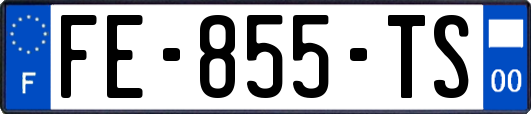 FE-855-TS