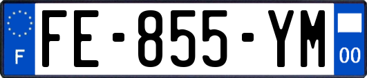 FE-855-YM