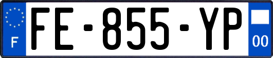 FE-855-YP