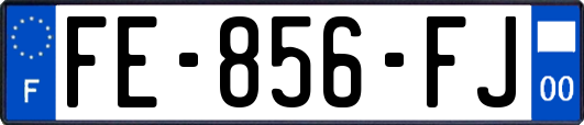 FE-856-FJ
