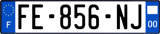 FE-856-NJ