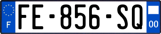 FE-856-SQ