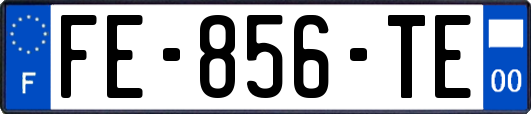 FE-856-TE