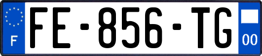 FE-856-TG