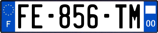 FE-856-TM