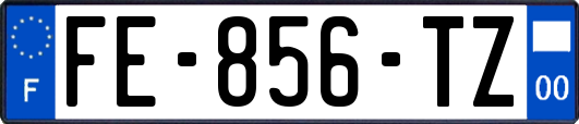 FE-856-TZ